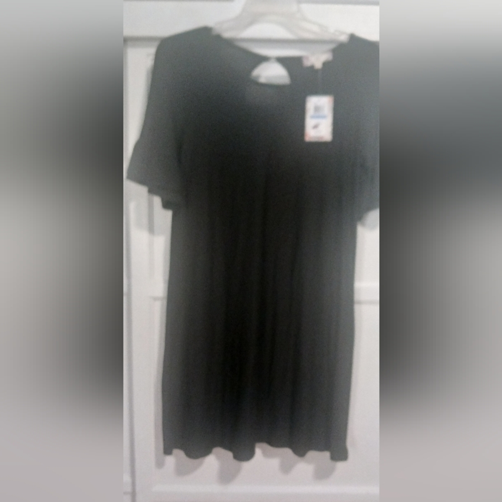NWT Size XL Pink Rose Black Short Sleeve Dress